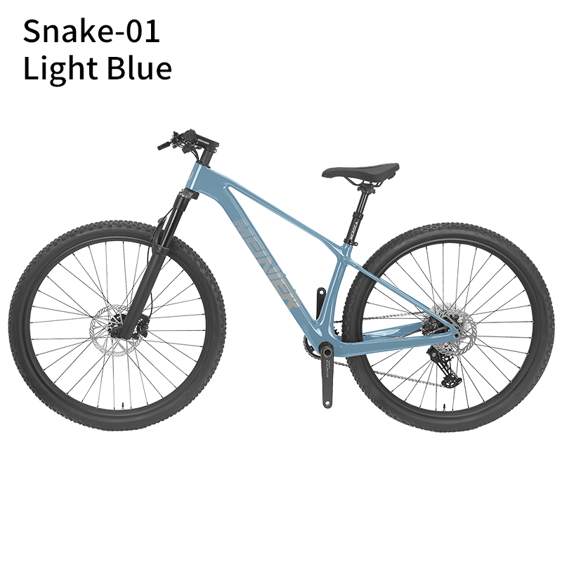 New 29inch Carbon Fiber Mountain Bike Disc Brake with Alloy Suspension Front Fork Mtb Bike 11Speed