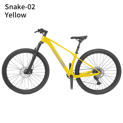 New 29inch Carbon Fiber Mountain Bike Disc Brake with Alloy Suspension Front Fork Mtb Bike 11Speed