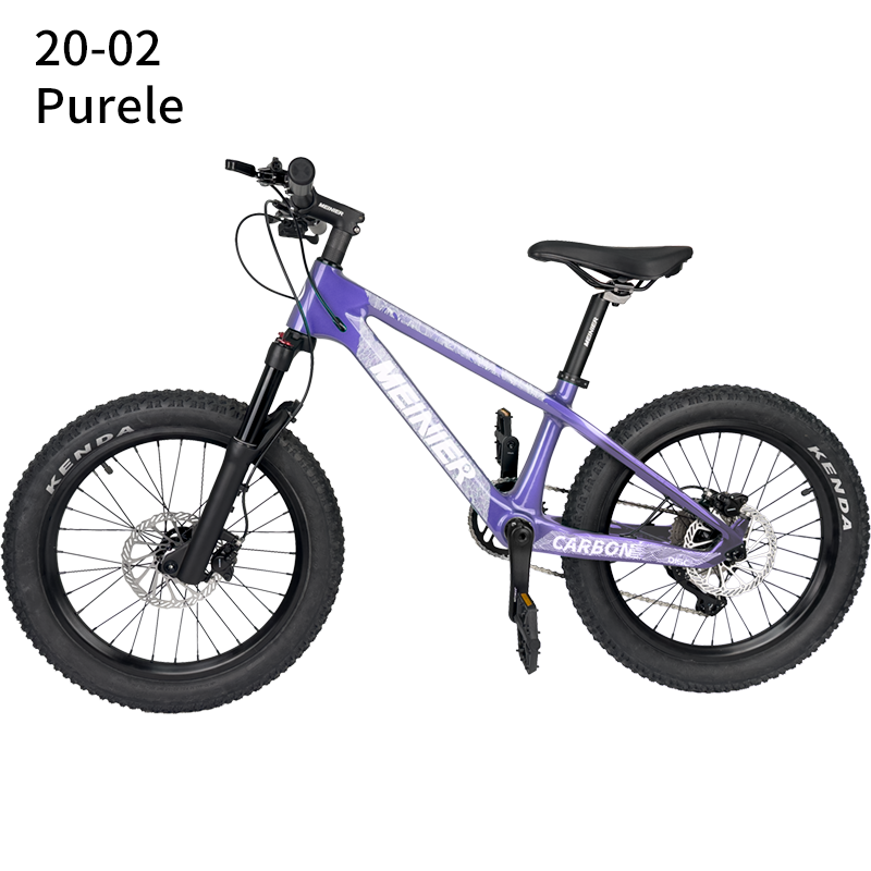 20er kids Bike with Suspension Fork Hard Tail Mtb with Shimano MT200 Disc Brake 20*2.6Tire