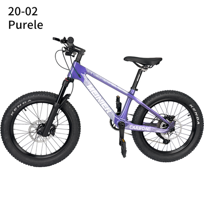 20er kids Bike with Suspension Fork Hard Tail Mtb with Shimano MT200 Disc Brake 20*2.6Tire