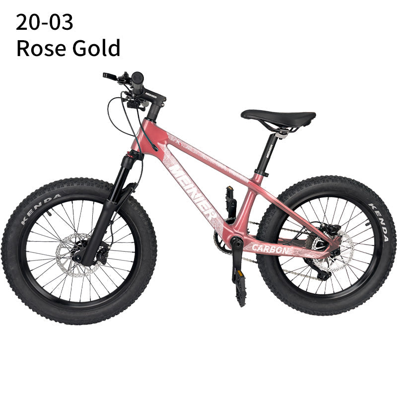 20er kids Bike with Suspension Fork Hard Tail Mtb with Shimano MT200 Disc Brake 20*2.6Tire
