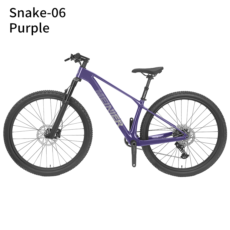 New 29inch Carbon Fiber Mountain Bike Disc Brake with Alloy Suspension Front Fork Mtb Bike 11Speed