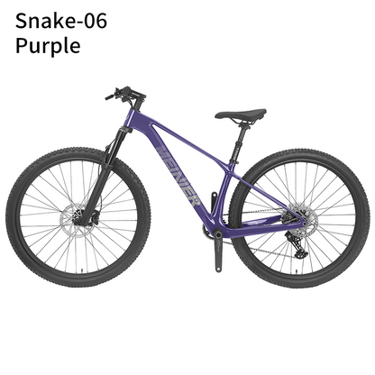 New 29inch Carbon Fiber Mountain Bike Disc Brake with Alloy Suspension Front Fork Mtb Bike 11Speed