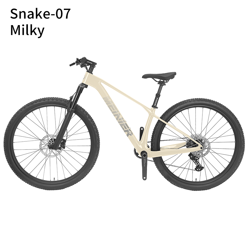 New 29inch Carbon Fiber Mountain Bike Disc Brake with Alloy Suspension Front Fork Mtb Bike 11Speed