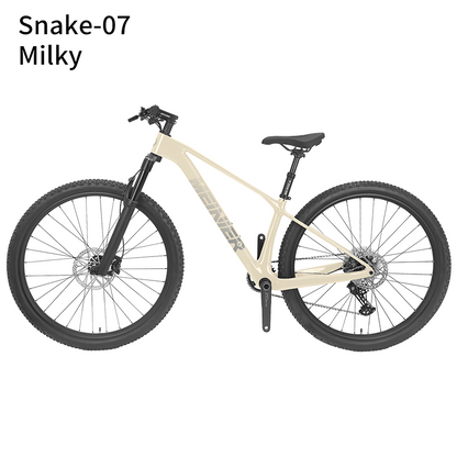 New 29inch Carbon Fiber Mountain Bike Disc Brake with Alloy Suspension Front Fork Mtb Bike 11Speed