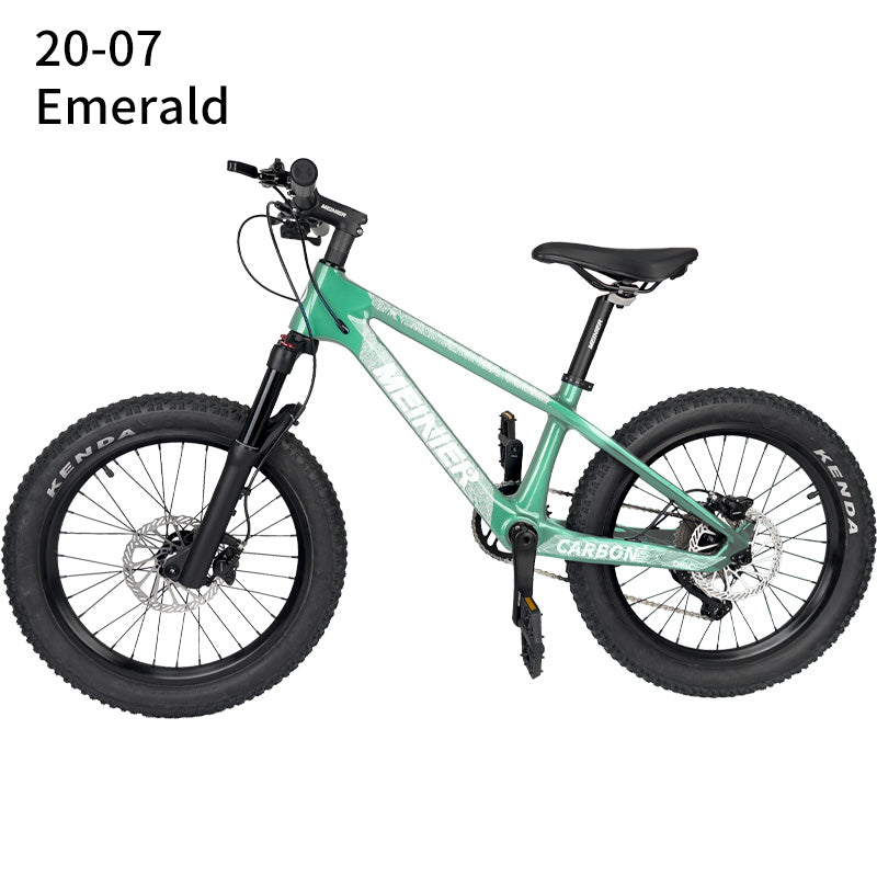 20er kids Bike with Suspension Fork Hard Tail Mtb with Shimano MT200 Disc Brake 20*2.6Tire