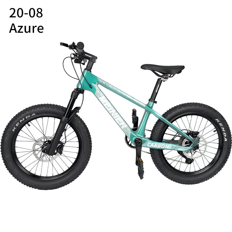 20er kids Bike with Suspension Fork Hard Tail Mtb with Shimano MT200 Disc Brake 20*2.6Tire