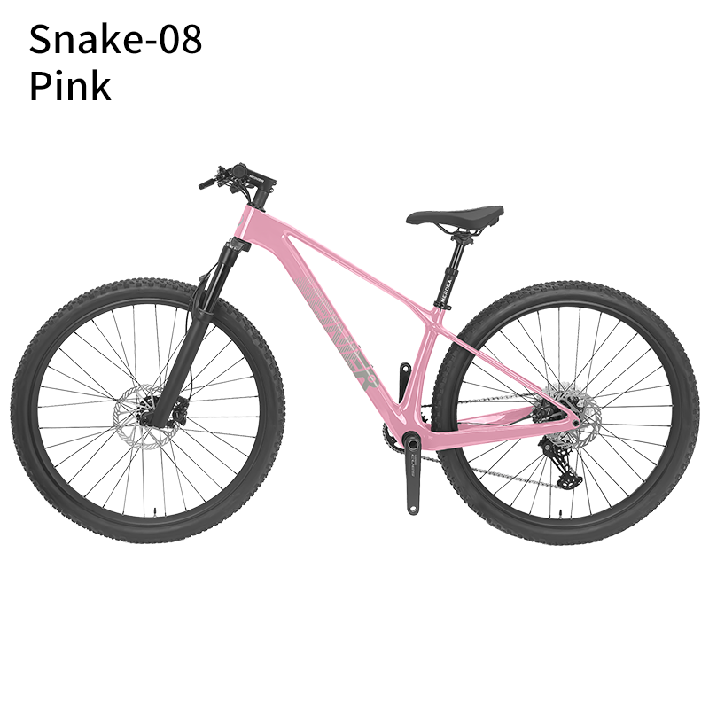 New 29inch Carbon Fiber Mountain Bike Disc Brake with Alloy Suspension Front Fork Mtb Bike 11Speed