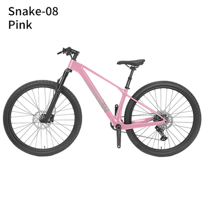 New 29inch Carbon Fiber Mountain Bike Disc Brake with Alloy Suspension Front Fork Mtb Bike 11Speed