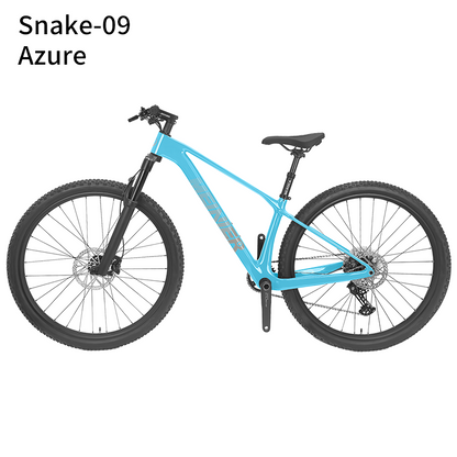 New 29inch Carbon Fiber Mountain Bike Disc Brake with Alloy Suspension Front Fork Mtb Bike 11Speed
