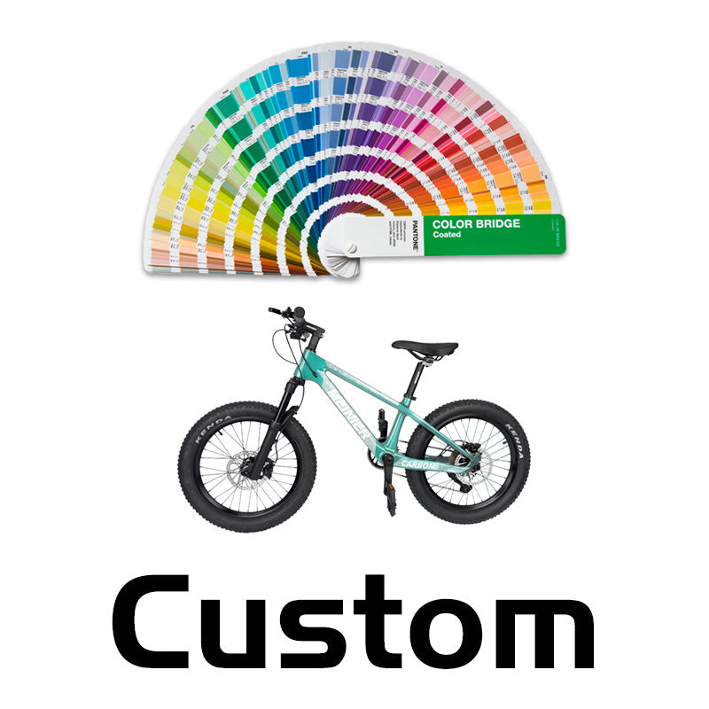 20er kids Bike with Suspension Fork Hard Tail Mtb with Shimano MT200 Disc Brake 20*2.6Tire