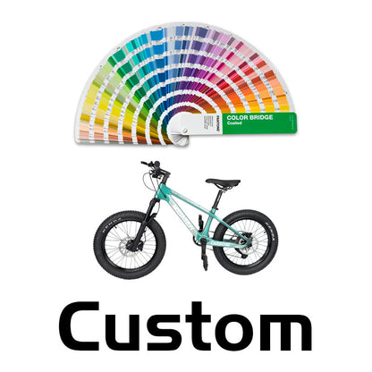 20er kids Bike with Suspension Fork Hard Tail Mtb with Shimano MT200 Disc Brake 20*2.6Tire