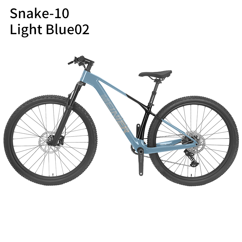 New 29inch Carbon Fiber Mountain Bike Disc Brake with Alloy Suspension Front Fork Mtb Bike 11Speed
