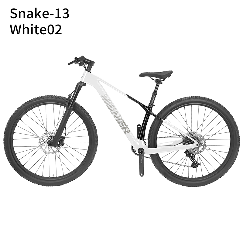New 29inch Carbon Fiber Mountain Bike Disc Brake with Alloy Suspension Front Fork Mtb Bike 11Speed