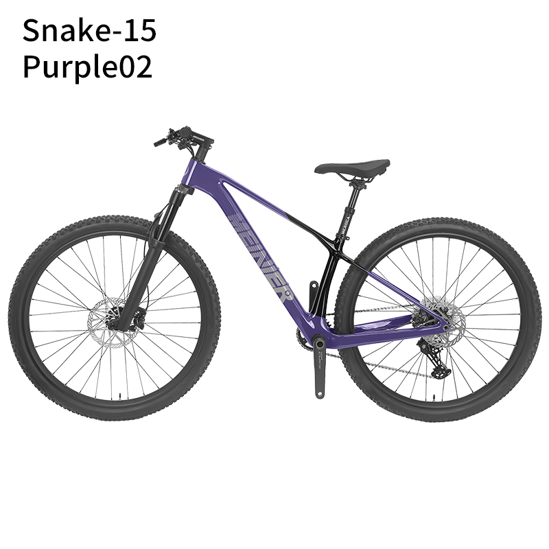 New 29inch Carbon Fiber Mountain Bike Disc Brake with Alloy Suspension Front Fork Mtb Bike 11Speed