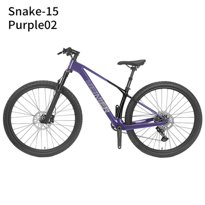 New 29inch Carbon Fiber Mountain Bike Disc Brake with Alloy Suspension Front Fork Mtb Bike 11Speed