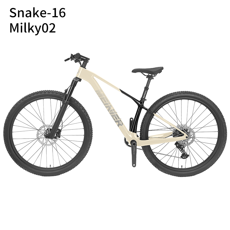 New 29inch Carbon Fiber Mountain Bike Disc Brake with Alloy Suspension Front Fork Mtb Bike 11Speed
