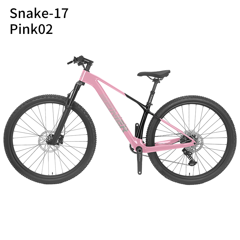 New 29inch Carbon Fiber Mountain Bike Disc Brake with Alloy Suspension Front Fork Mtb Bike 11Speed