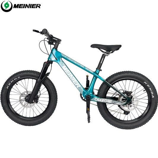20er kids Bike with Suspension Fork Hard Tail Mtb with Shimano MT200 Disc Brake 20*2.6Tire