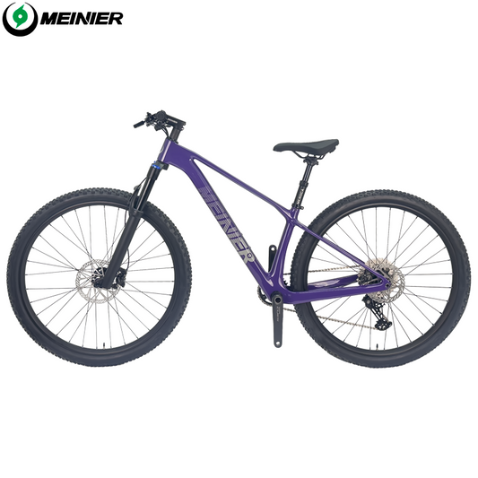 New 29inch Carbon Fiber Mountain Bike Disc Brake with Alloy Suspension Front Fork Mtb Bike 11Speed