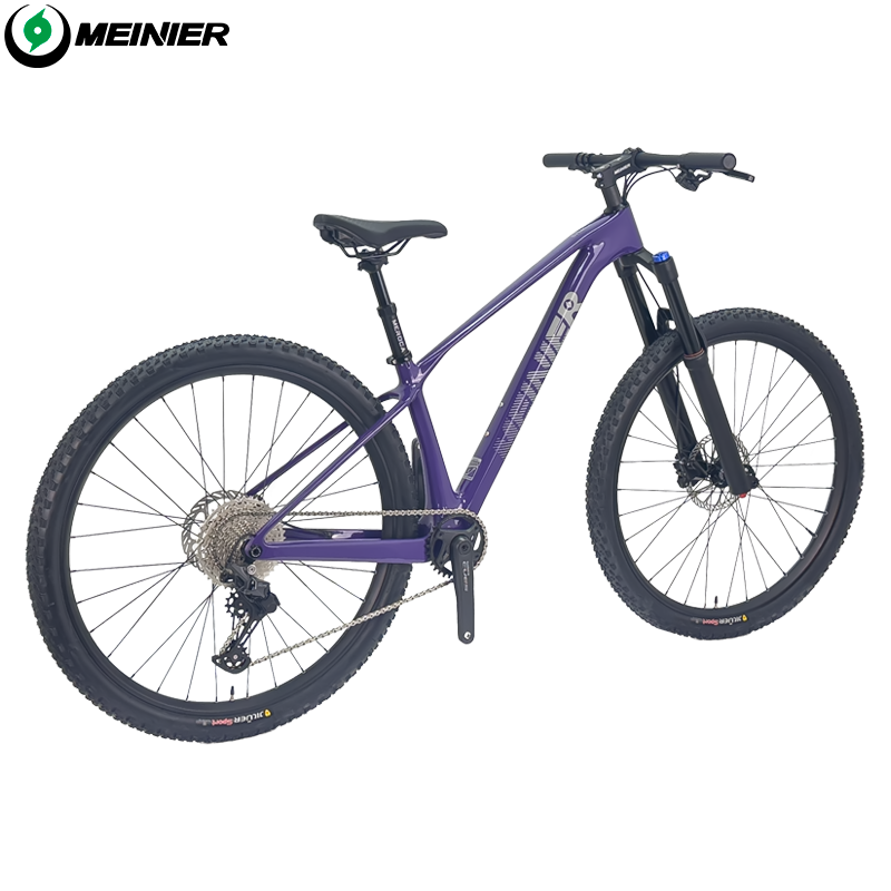 New 29inch Carbon Fiber Mountain Bike Disc Brake with Alloy Suspension Front Fork Mtb Bike 11Speed