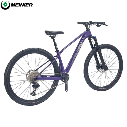 New 29inch Carbon Fiber Mountain Bike Disc Brake with Alloy Suspension Front Fork Mtb Bike 11Speed