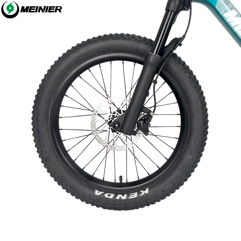 20er kids Bike with Suspension Fork Hard Tail Mtb with Shimano MT200 Disc Brake 20*2.6Tire