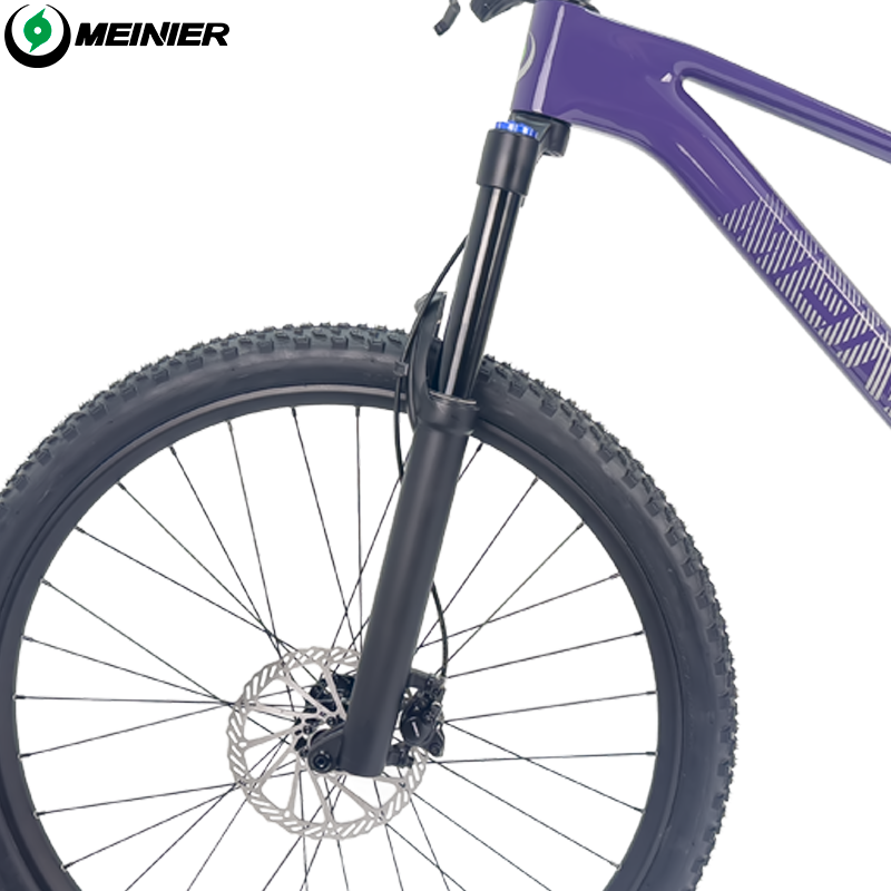 New 29inch Carbon Fiber Mountain Bike Disc Brake with Alloy Suspension Front Fork Mtb Bike 11Speed