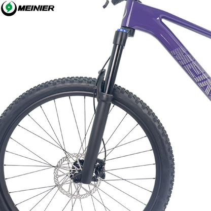 New 29inch Carbon Fiber Mountain Bike Disc Brake with Alloy Suspension Front Fork Mtb Bike 11Speed