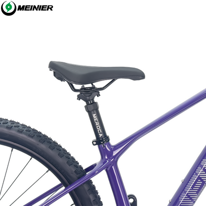 New 29inch Carbon Fiber Mountain Bike Disc Brake with Alloy Suspension Front Fork Mtb Bike 11Speed