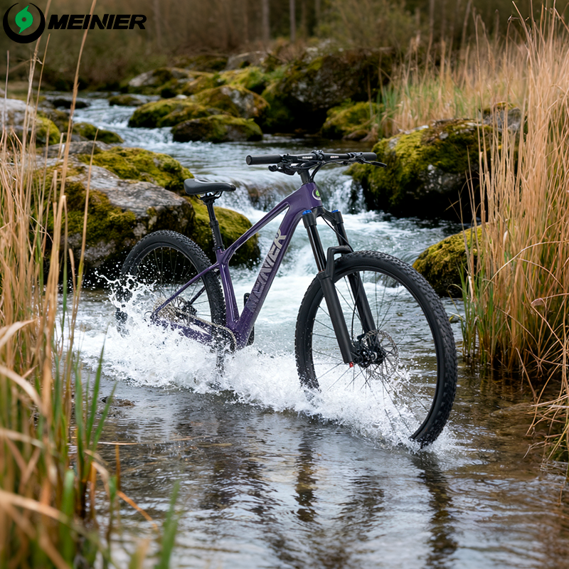 New 29inch Carbon Fiber Mountain Bike Disc Brake with Alloy Suspension Front Fork Mtb Bike 11Speed