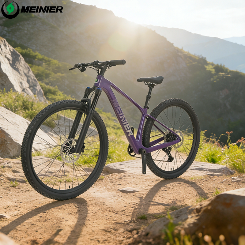 New 29inch Carbon Fiber Mountain Bike Disc Brake with Alloy Suspension Front Fork Mtb Bike 11Speed